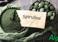 Японската спирулина – стандарт за качество в света на суперхраните