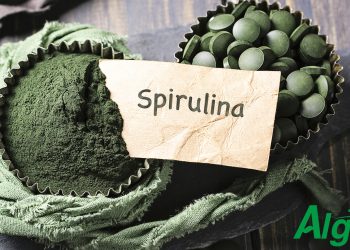 Японската спирулина – стандарт за качество в света на суперхраните