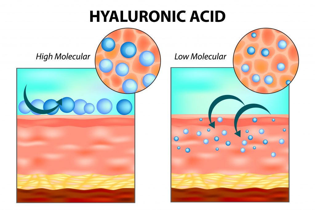 Описание: Molecular weight and functionality of hyaluronic acid