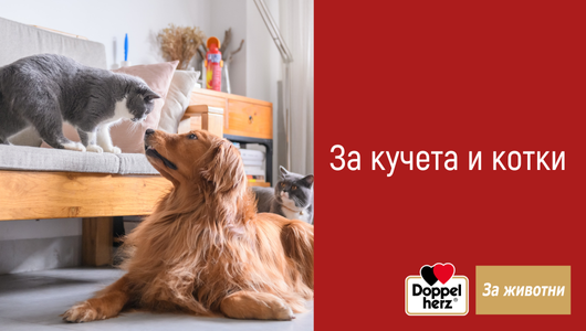 Doppelherz За животни