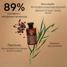 Apivita Шампоан против мазен пърхот 250 ml