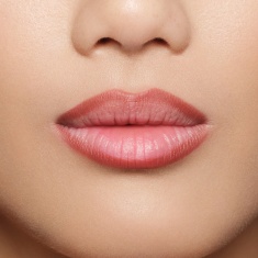 NL Beauty TOO NUDE TO BE TRUE Молив за устни 04 FANTASY 1,5 g