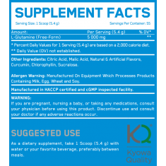 Glutamine Orange Xplosion