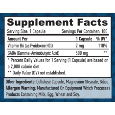 GABA + B-6 / 500mg. / 100 Vcaps