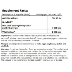 BetaTOR® Liquid SHOT Box / 20 x 60 ml Red Berries