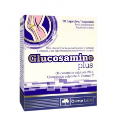 Glucosamine Plus / 60 Caps