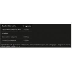 Glucosamine Plus / 60 Caps