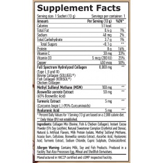 Complete Collagen Types I, II & III / SOLUGEL® & VERISOL® / Sachet Chocolate