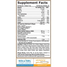 Complete Collagen Types I, II & III / SOLUGEL® & VERISOL® Chocolate