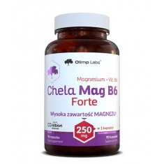 Chela Mag B6 Forte / 90 Caps