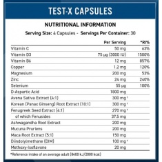 Test-X / 120 Caps