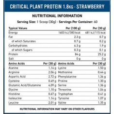 Critical Plant Protein Chocolate