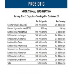 Probiotic - Advanced Multi-Strain Formula / 60 Caps