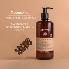 Apivita Шампоан против сух пърхот 500 ml