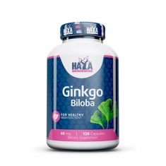 Ginkgo Biloba 60mg. / 120 caps.