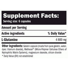 L-Glutamine 800mg. / 120 Caps.