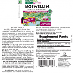 БОСВЕЛИЯ / BOSWELLIA - Herbal Actives (60 капс)