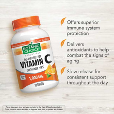 Time Release Vitamin C with Rose Hips