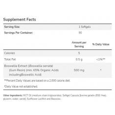 Boswellia Extract 500 mg