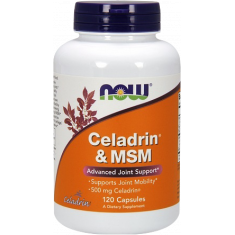 Celadrin & MSM 500 mg