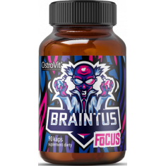 Braintus Focus / Gamer Series