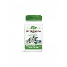 Hydrangea Root/ Хортензия (корен) 370 mg х 100 капсули Nature’s Way