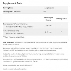 Pycnogenol 100 mg