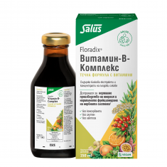 Floradix Витамин B-Комплекс Сироп 250 ml