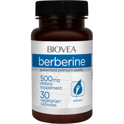 Berberine 500 mg