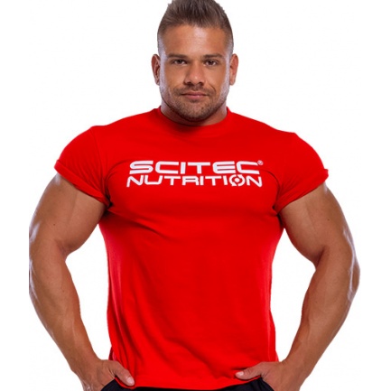 Basic Scitec Nutrition Mens T-Shirt L
