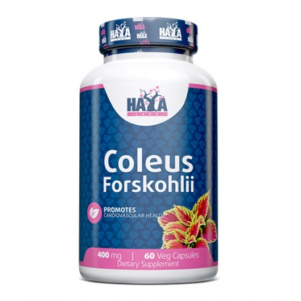 Coleus Forskohlii / 60 Vcaps