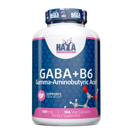 GABA + B-6 / 500mg. / 100 Vcaps