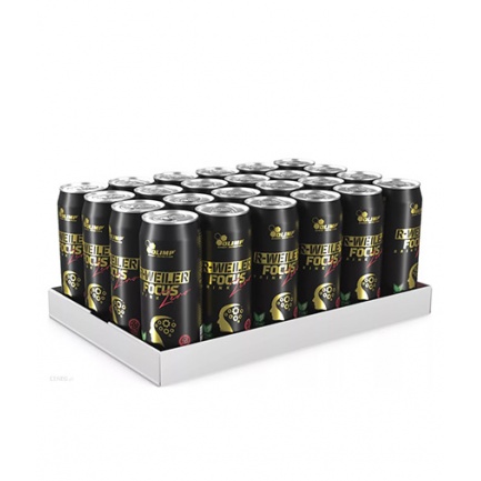 R-Weiler Focus Drink Zero / 24 x 330 ml Energy
