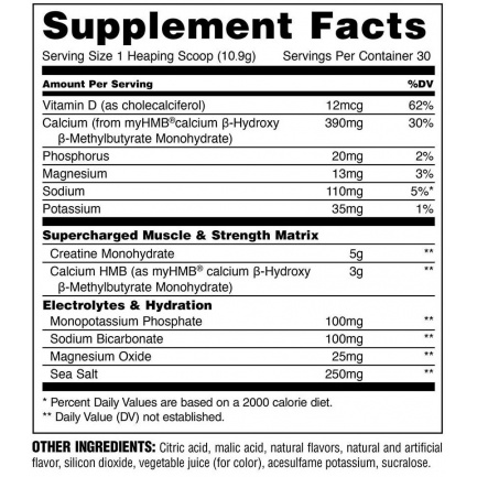 Creatine HMB+ Power Punch