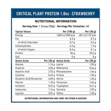 Critical Plant Protein Chocolate