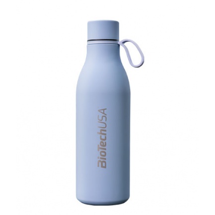Stainless Steel Bottle / 500 ml / Blue
