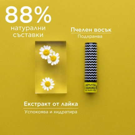 Apivita Стик за устни с лайка SPF15 4,4 g