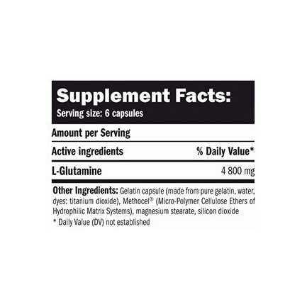 L-Glutamine 800mg. / 360 Caps.