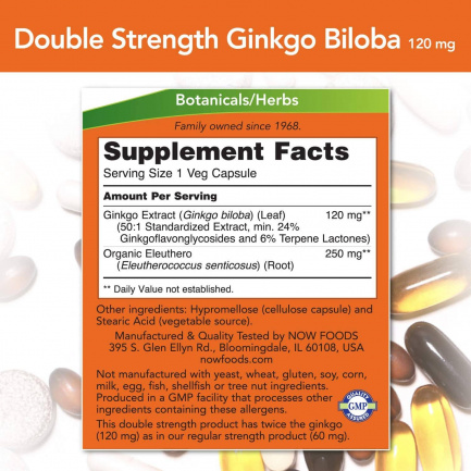 Ginkgo Biloba 120 mg / Double Strength