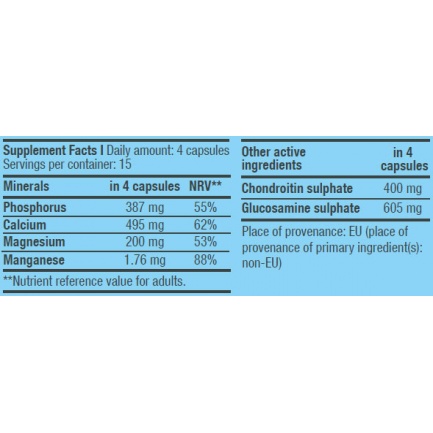 Chondroitin Glucosamine / 60 Caps.