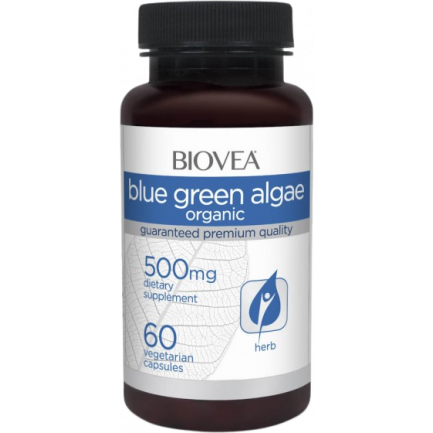Blue Green Algae 500 mg