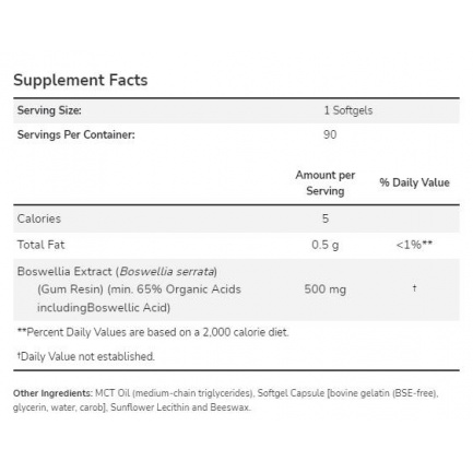 Boswellia Extract 500 mg