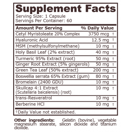 Pure Nutrition - No Pain Formula - 60 Capsules