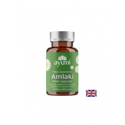 Амла – Имунна защита, храносмилателен комфорт и антиоксидантна подкрепа, 520 mg, 60 капсули
