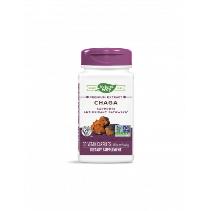 Chaga / Чага 480 mg x 30 капсули Nature’s Way