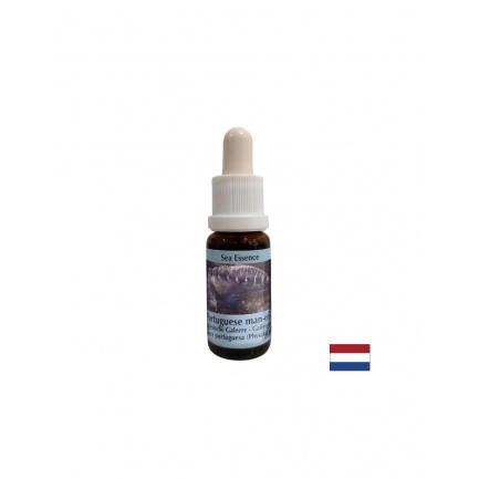 Детоксикация - Есенция Физалия (Португалска галера) № 4, капки 15 ml