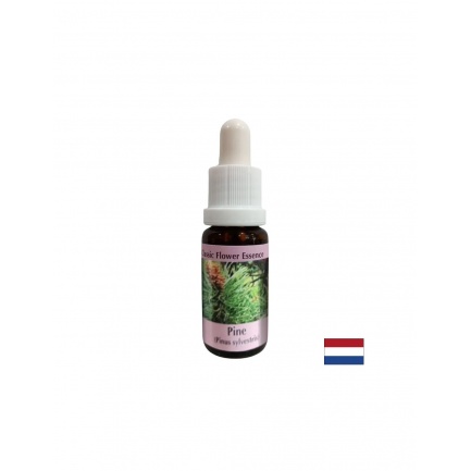 При чувство на вина - Есенция Бор № 24, капки 15 ml