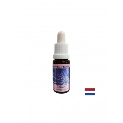 За фокусиране върху себе си - Есенция Цикория № 8, капки 15 ml