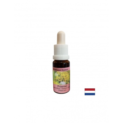 Есенция Иглика №57 – Творчески поток и вдъхновение, 15 ml капки