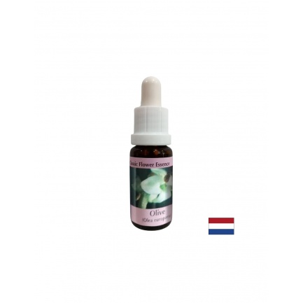 Възстановява силите - Есенция Маслина № 23, капки 15 ml